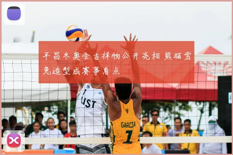 平昌冬奥会吉祥物公开亮相 熊猫雪兔造型成赛事看点