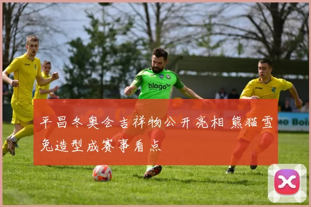 平昌冬奥会吉祥物公开亮相 熊猫雪兔造型成赛事看点