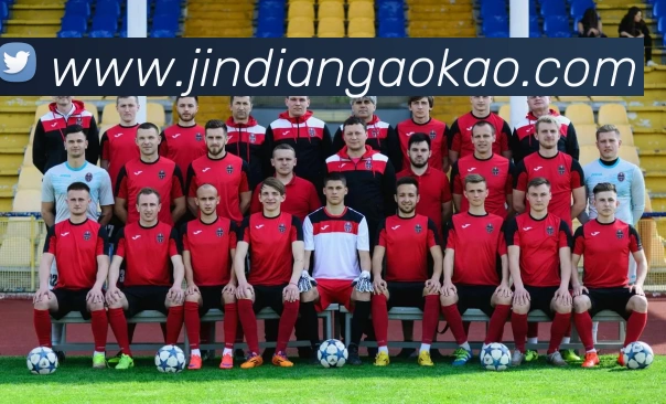 App Interface Preview